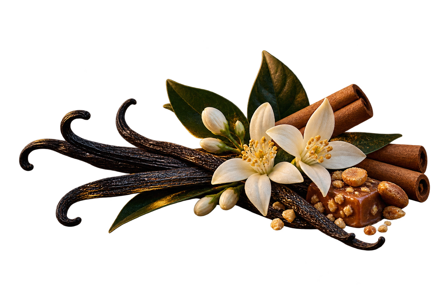 Accords de vanille, fleur d’oranger, cannelle et praline